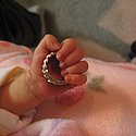 150_5008.JPG
