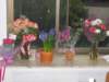 Photo Number 8