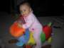 Photo Number 5