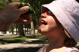 IMG_8374 