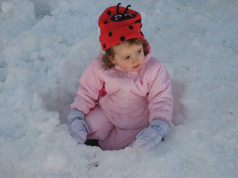 IMG_3231.JPG - Dakota the lady bug!