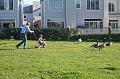 IMG_5244