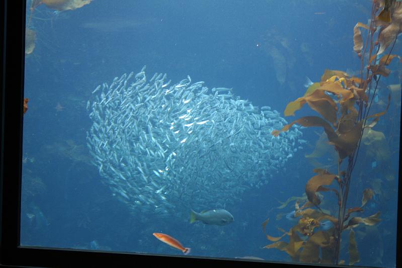 IMG_5988.JPG