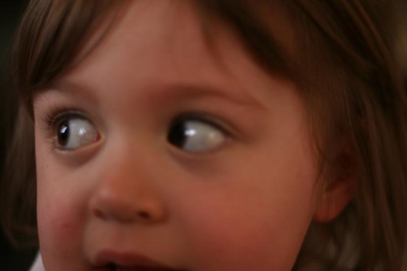 IMG_6227.JPG