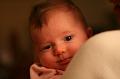 IMG_5778