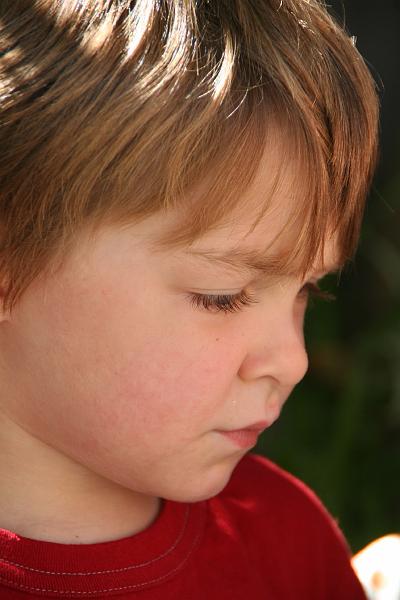 IMG_4378.JPG