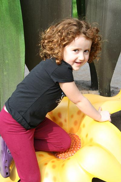 IMG_9804.JPG