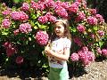 IMG_6981