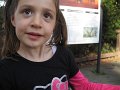 IMG_2387