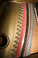 IMG_0107