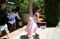 IMG_1353