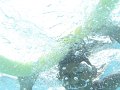 DSC00858