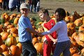 IMG_5145