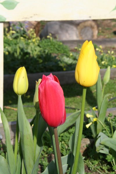 IMG_8503.JPG