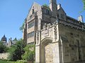 IMG_1542