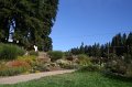 IMG_1342