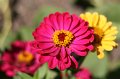 IMG_1716