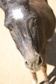 IMG_1739