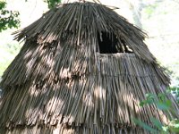IMG 6679