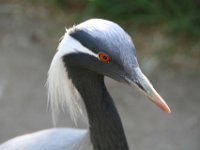 IMG 7015