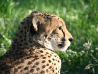 IMG 7076