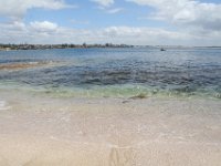 IMG 4474